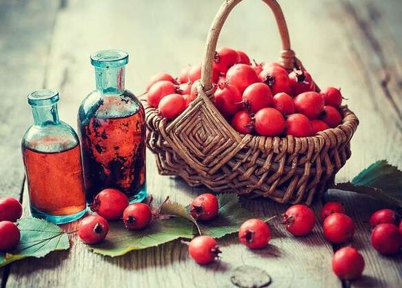 Hawthorn gyümölcsök, hogy növeljék a tagot